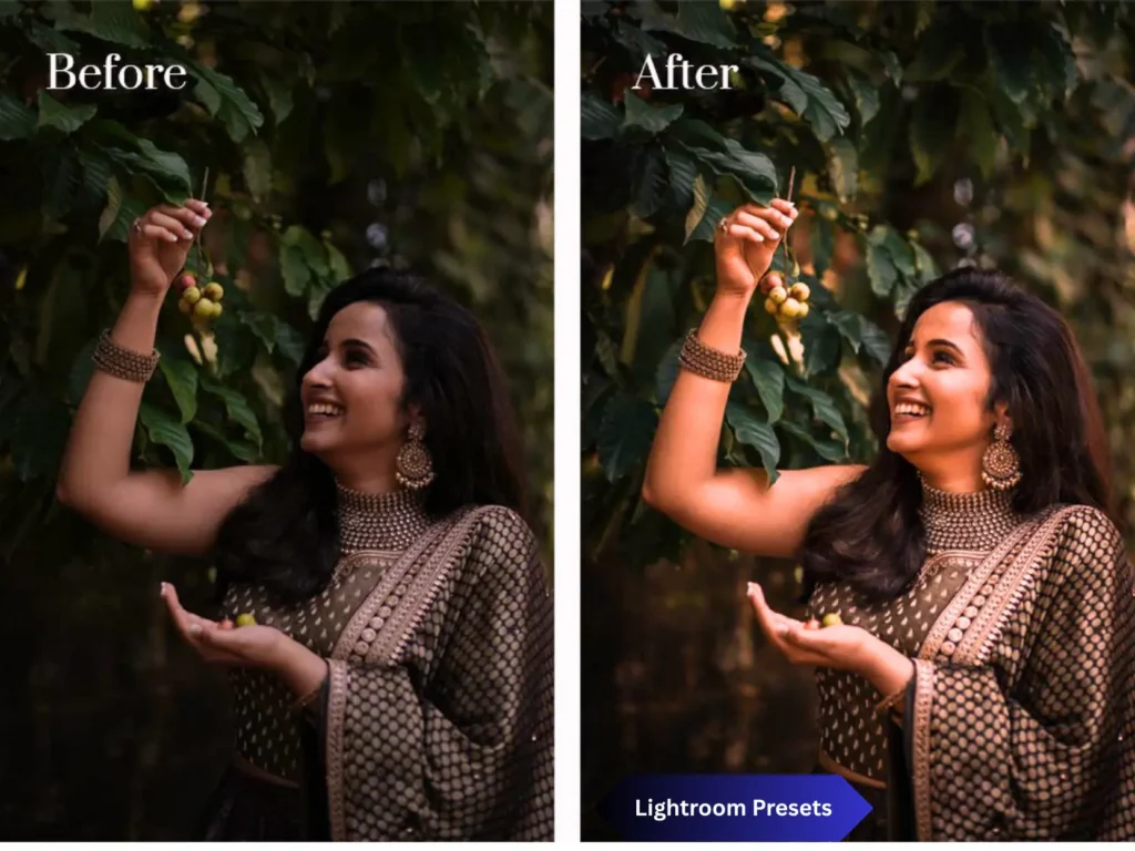 Adobe Best Lightroom Presets Free Download: 2025 2 Lightroom Presets 3