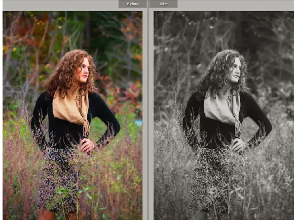 Adobe Best Lightroom Presets Free Download: 2025 6 ergfbvcserfyy 3 1